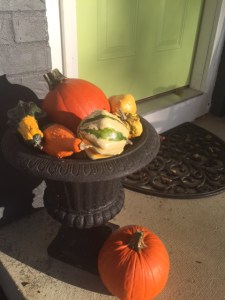outside gourds